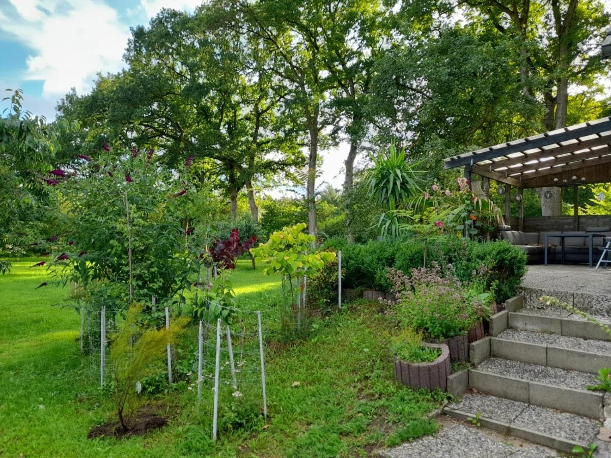 Haus Wald Und Wiese Wohnung Wald Ehndorf Esterno foto